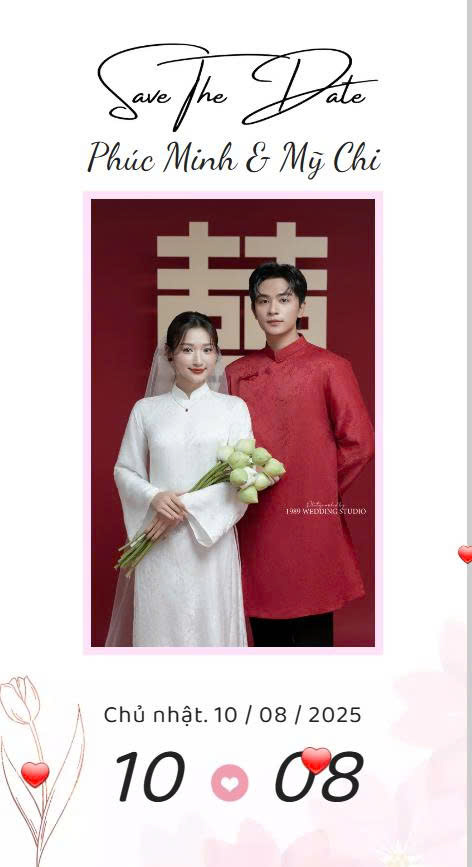 Tulip Hồng – Dịu Dàng Lời Yêu